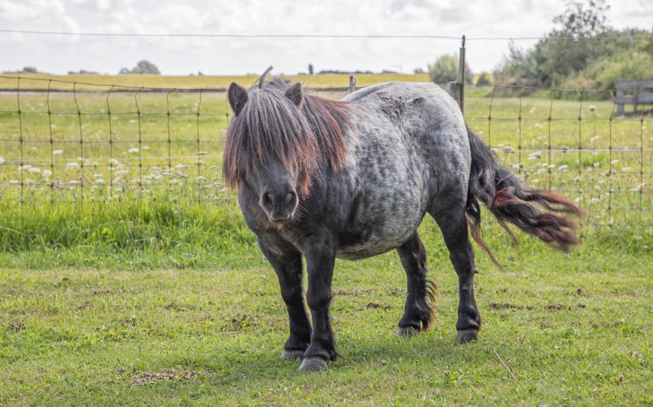 Eendrachtweg 4 De Cocksdorp  Zewnętrze zdjęcie